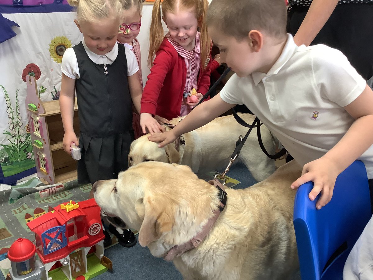 We had two special visitors in our classroom this morning 🐶❤️
