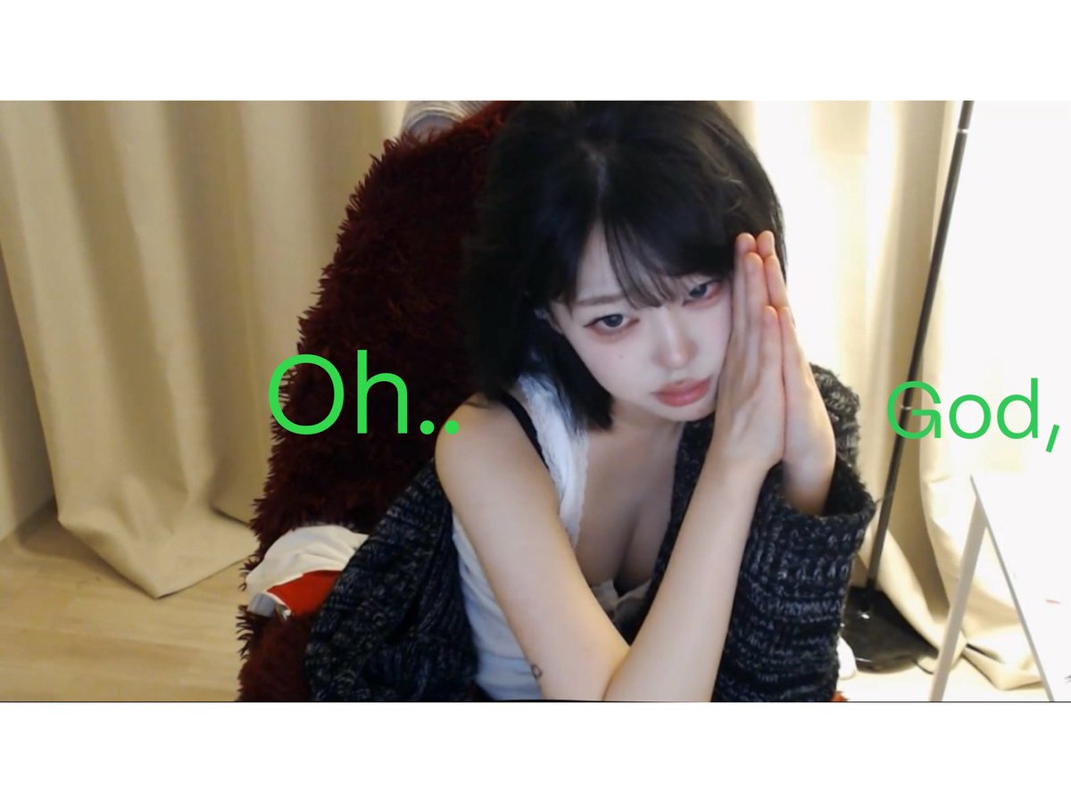 고양이복정 tweet media