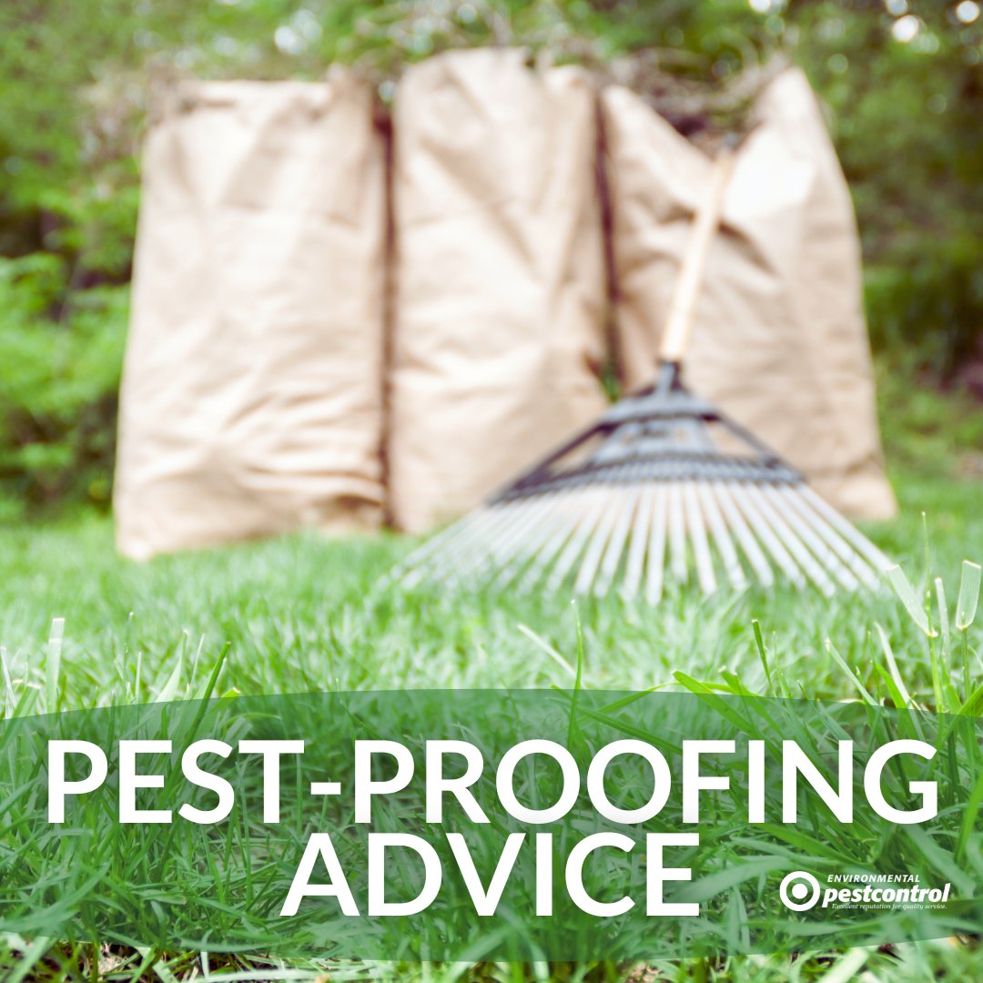 ENVPestControl's tweet photo. With the snow melted, it's time to address last fall's leftover leaf litter. Leaf litter is beneficial for ecosystems, but not so much for you when it's up against your home's foundation. Rake leaf debris away from your home’s structure to help keep insects a safe distance away. https://t.co/2WRoIye94I
