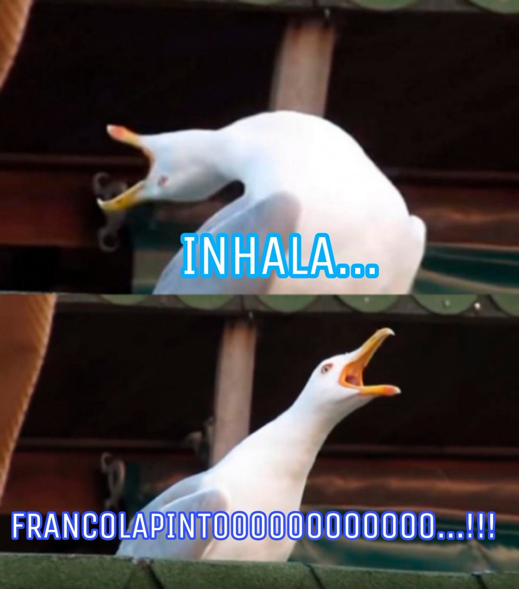 Lau Garcia ⭐️⭐️⭐️ 💙💛💙🌞 tweet media