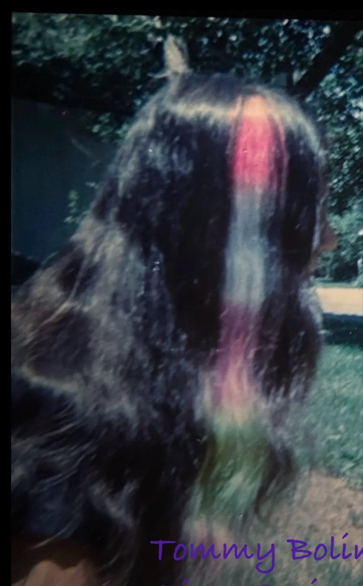 SchildChris's tweet photo. A very young Tommy Bolin, showing his newly colored hair strand. Around 1967, Boulder CO. https://t.co/r9bFK1Clxt