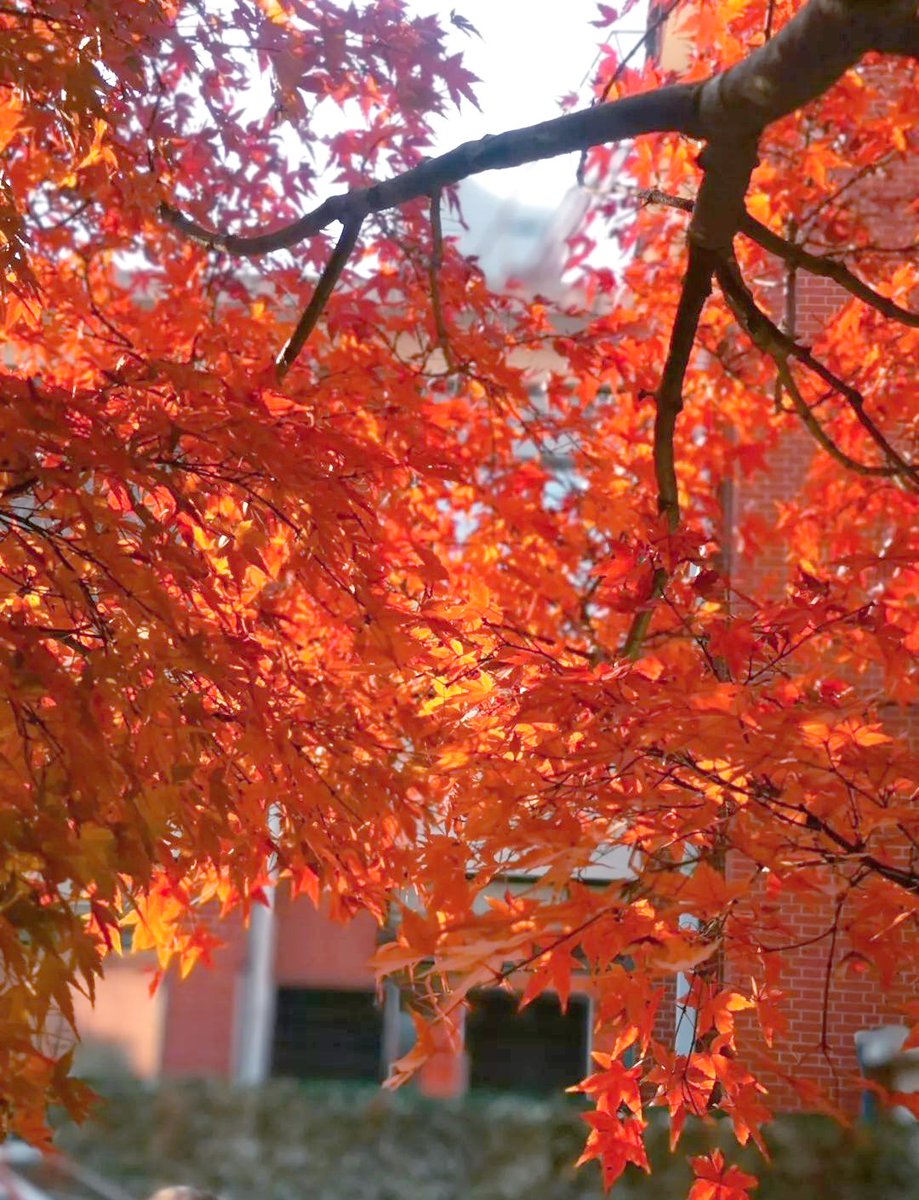 Blake Cullen tweet media