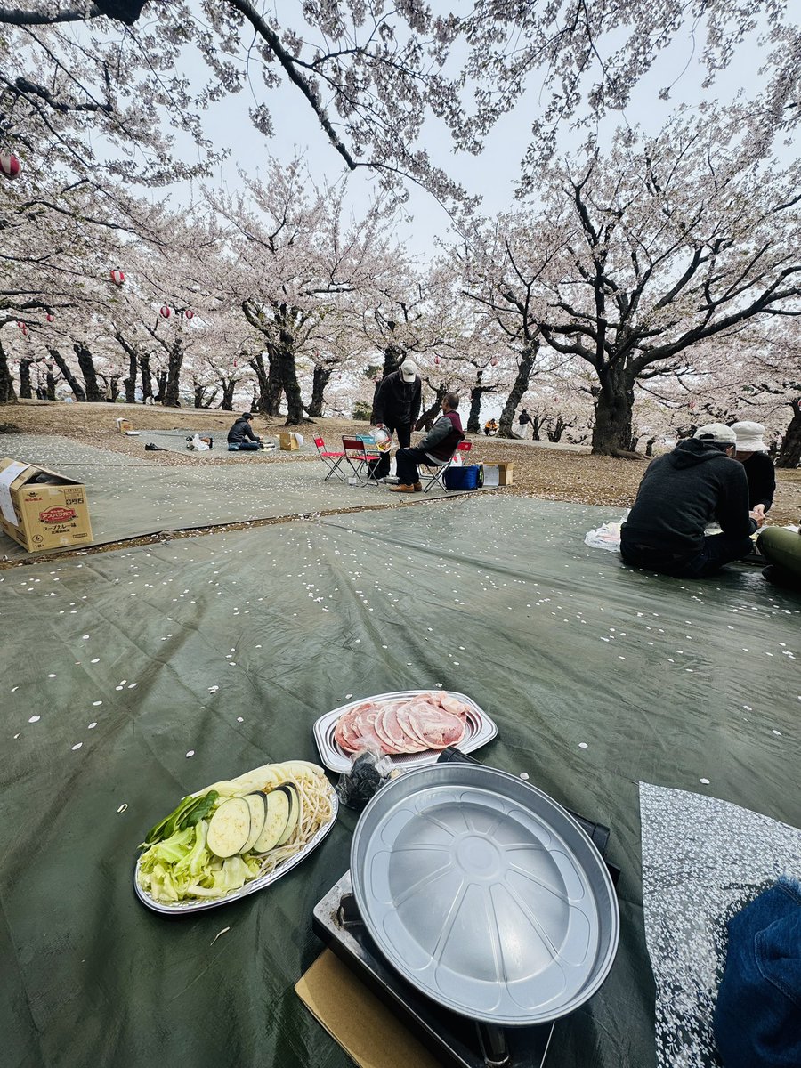 MADE_in_ARISA's tweet photo. 念願の五稜郭公園での野外ジンギスカン🌸😭

前に行った時にやってる人見かけて
「いいな〜🥹」って言うてたのが実現！

野外ビールにジンギスカン、これまた念願の大沼だんごが変えたり、膝乗りそうなくらい鳥　ウミネコ来たりたまらんでしたな〜〜 https://t.co/5hbYxotAer