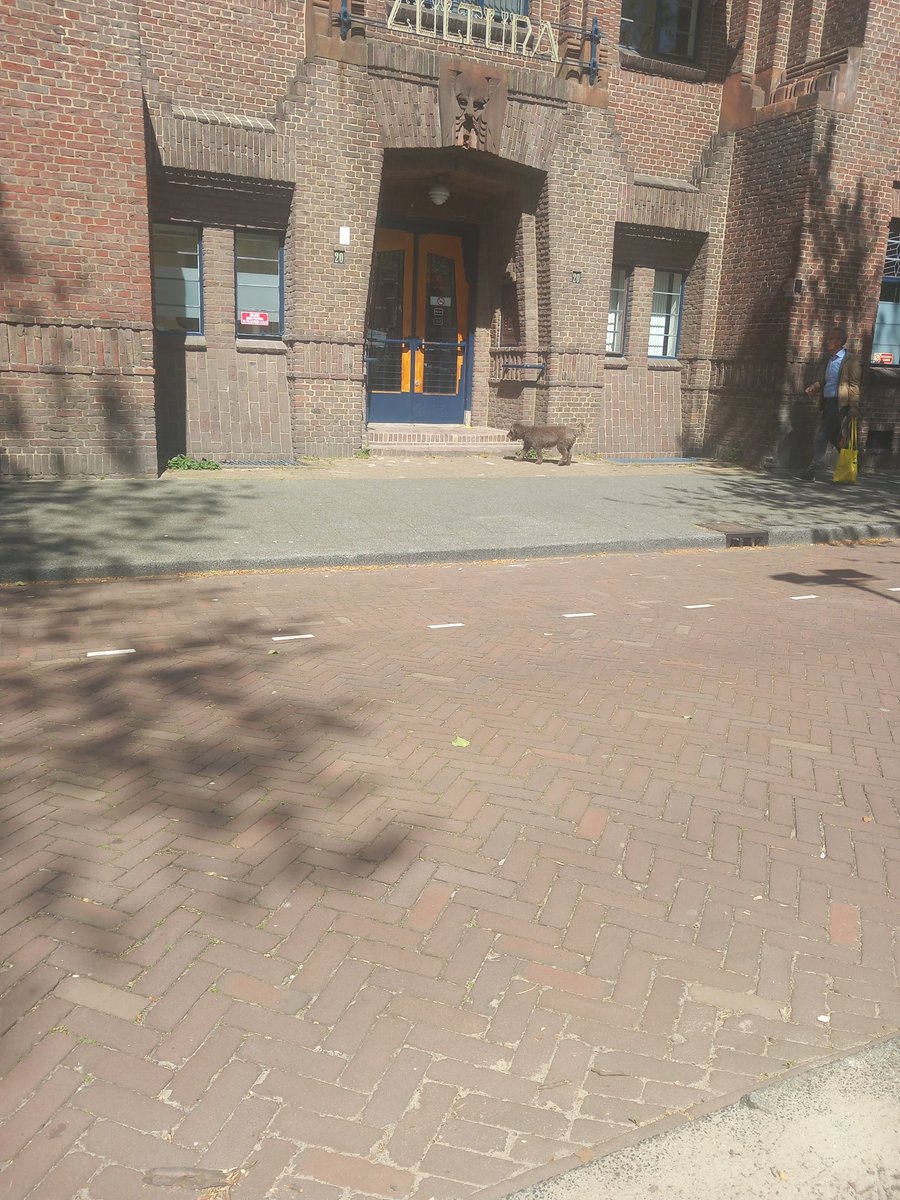 Jefke1204's tweet photo. En ik ben er weer. #vragen https://t.co/bGsnwA1tp4