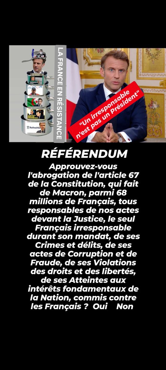 LA FRANCE EN RESISTANCE tweet media