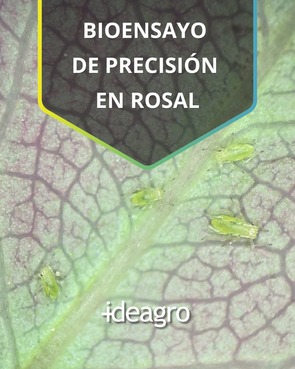 IDEAGRO tweet media