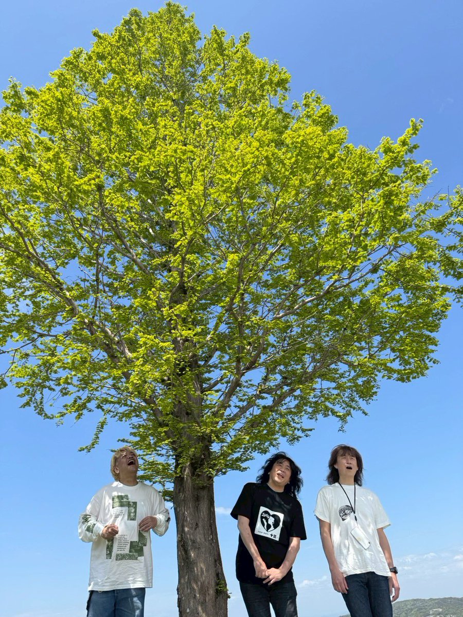 横田昭(PONCHAN) tweet media
