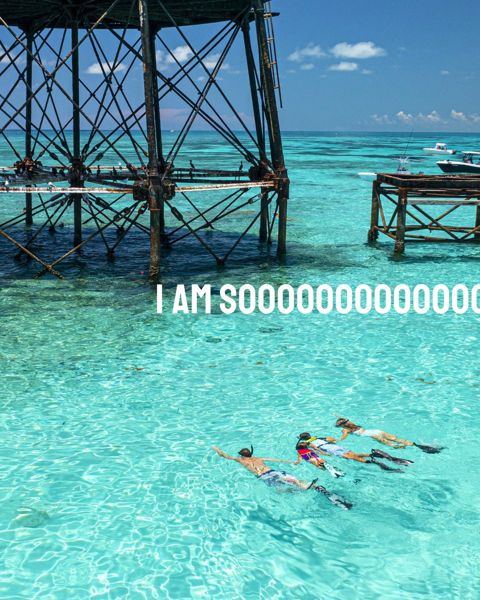 The Florida Keys & Key West tweet media