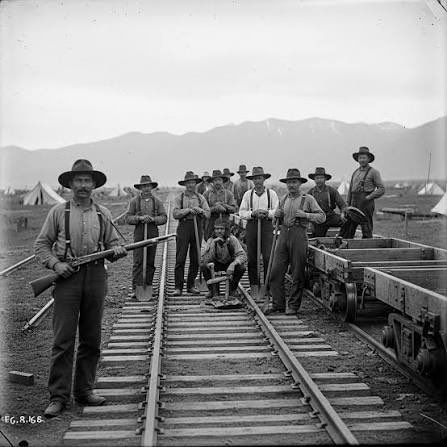 White Guy tweet media