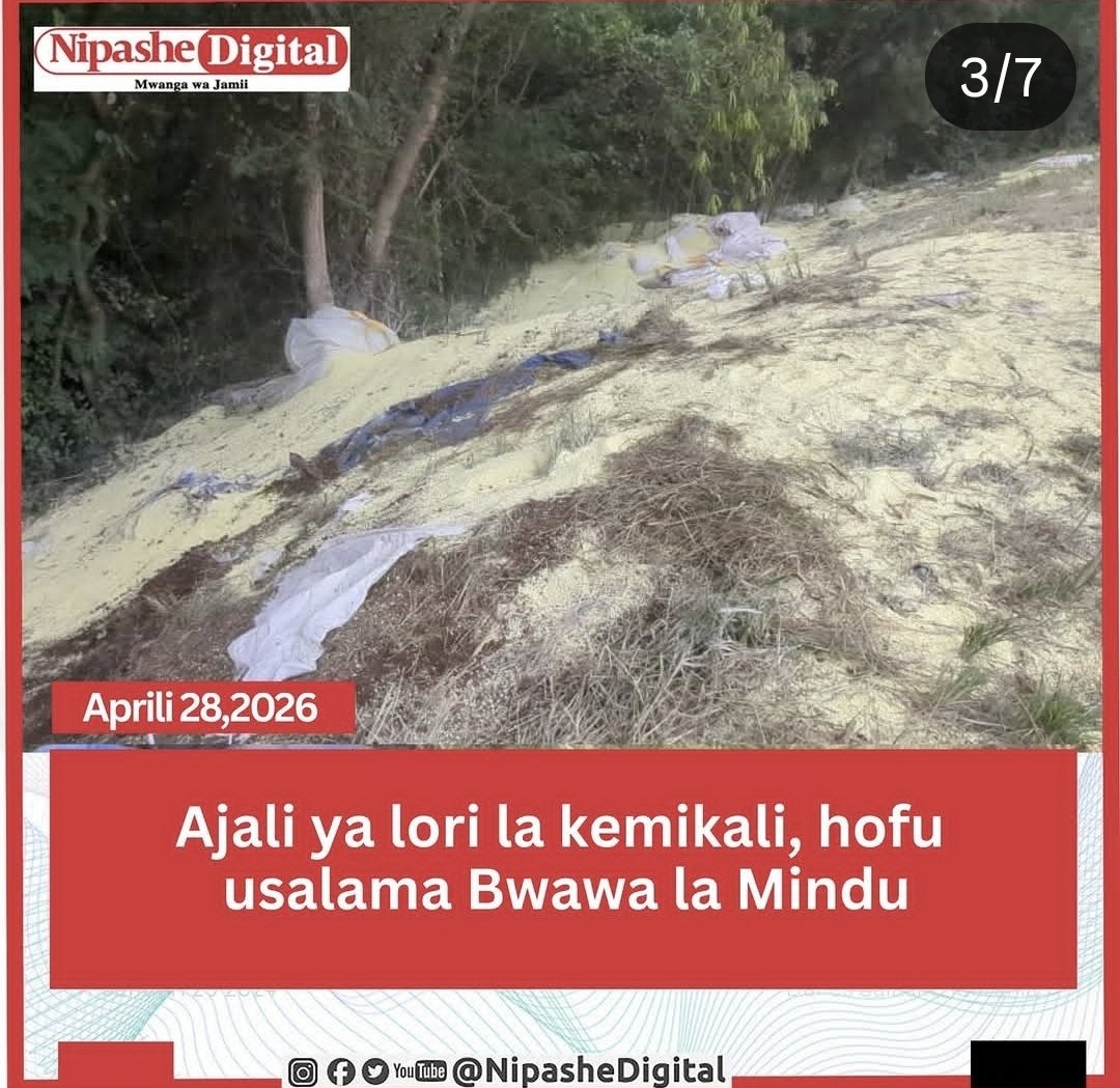 Hormuz™️ tweet media