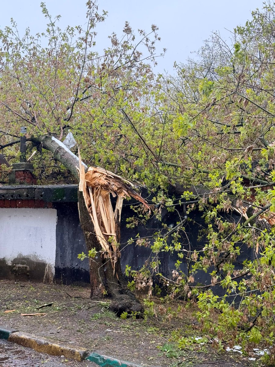 оля арабески tweet media