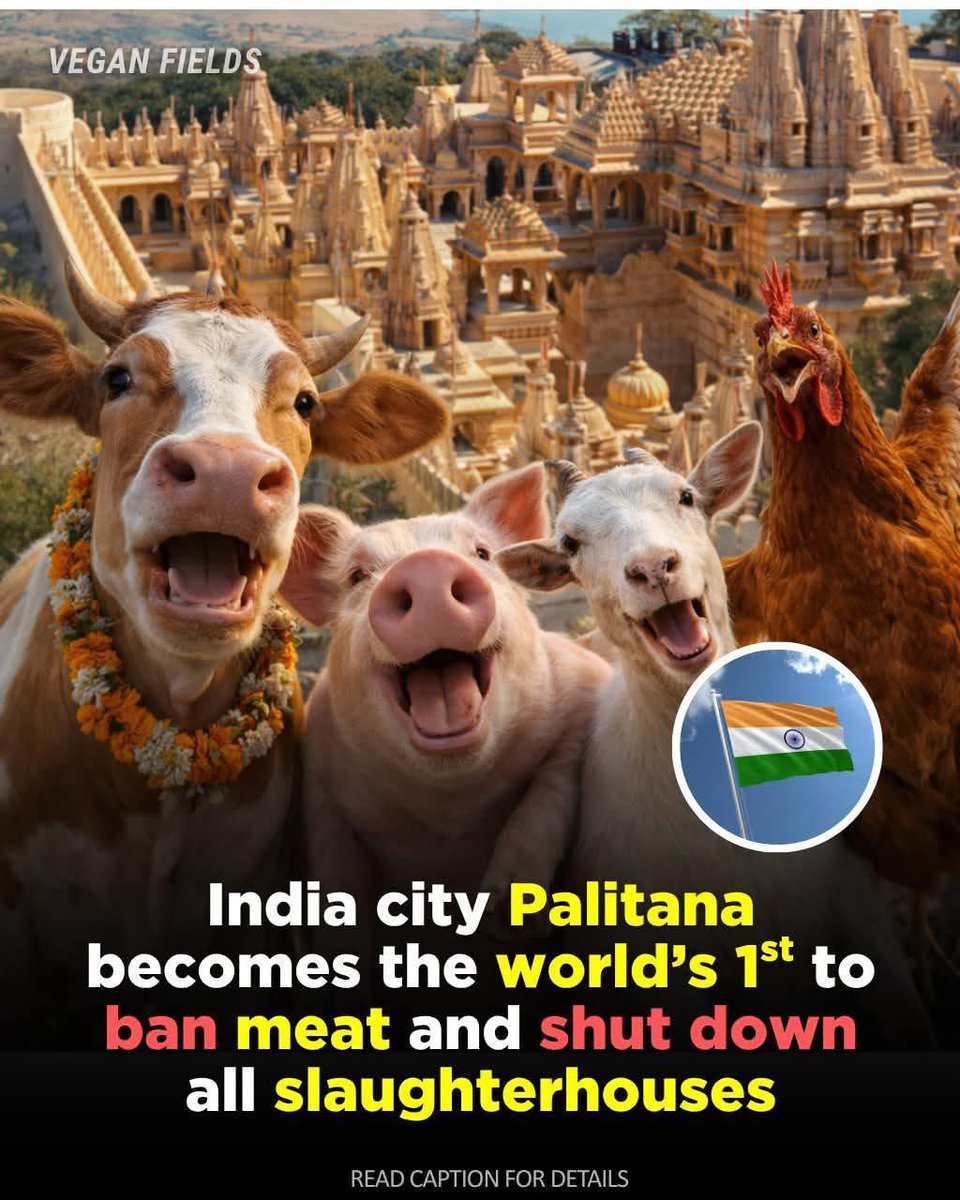 dominic dyer tweet media