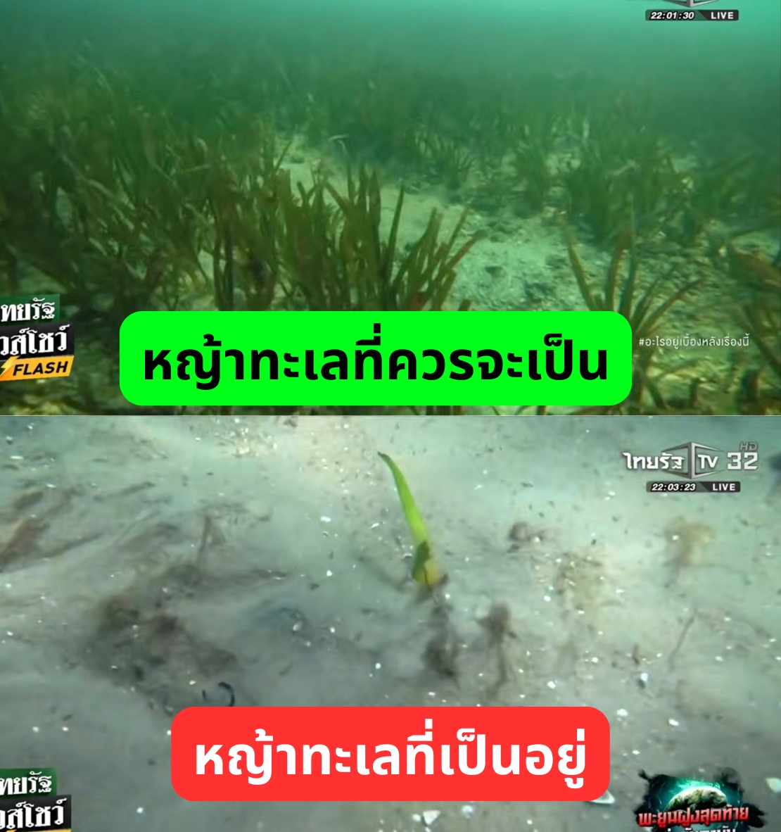 กัปตันคนเนิร์ด tweet media