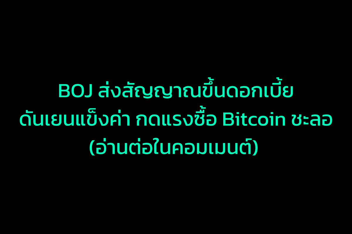 Maxbit 🛡️ tweet media