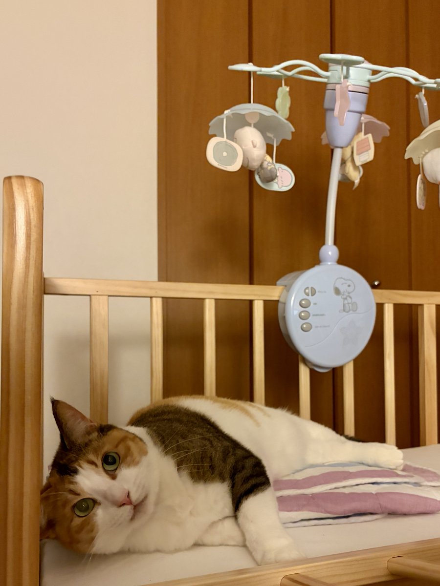 N. Sakata tweet media