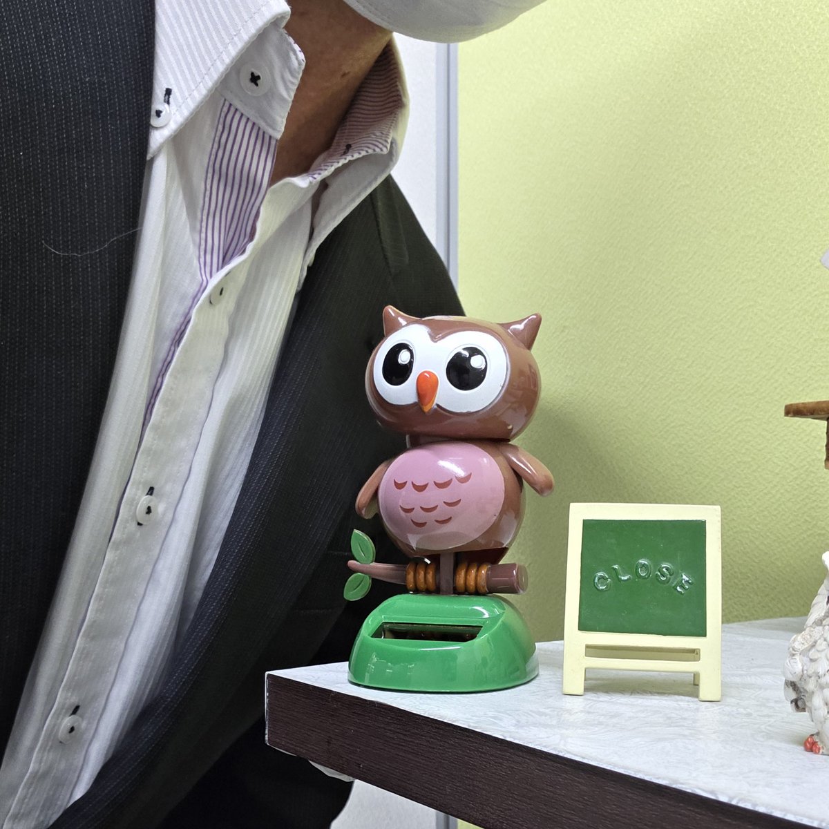 りゅうたいが tweet media