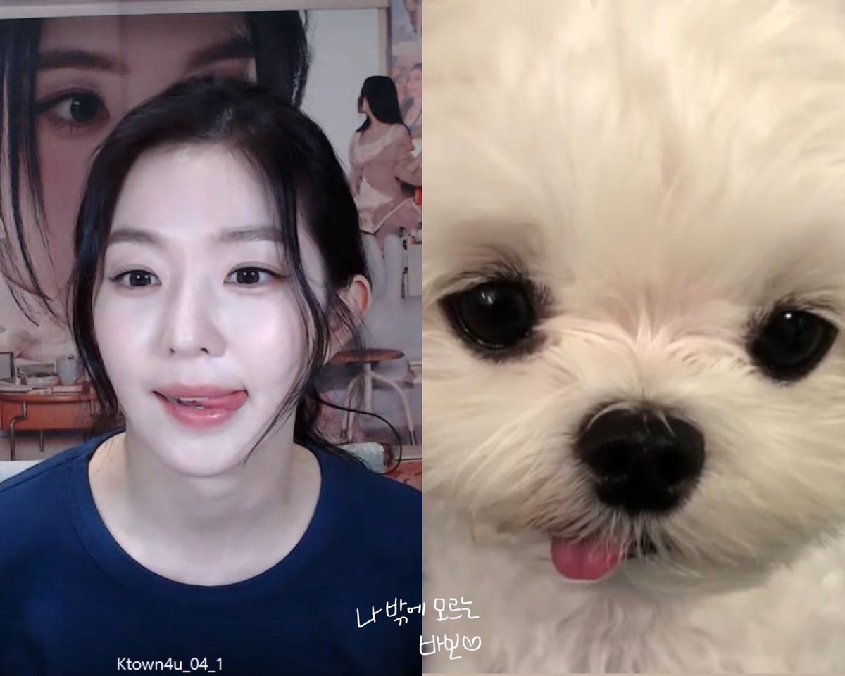 알랑🩷 tweet media