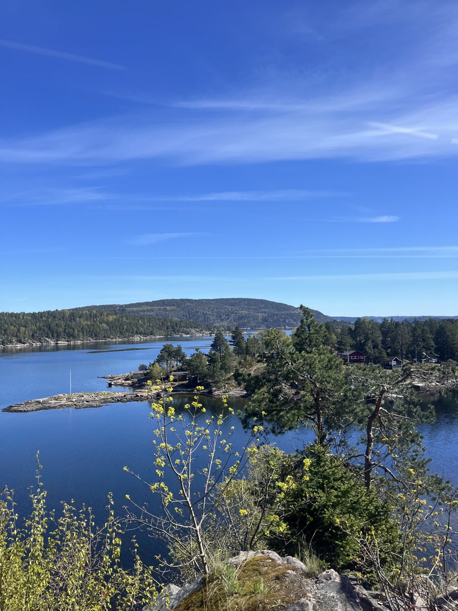 Shahid Mehmood tweet media