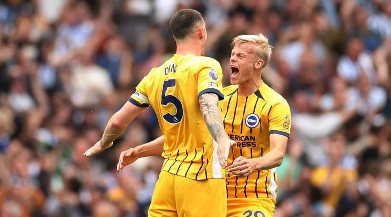 AndrewJames1901's tweet image. Here’s Captain Dunky &amp;amp; Van Hecke to help you enjoy your day Albion fans! 🫡💙🤍

#Brighton #BHAFC