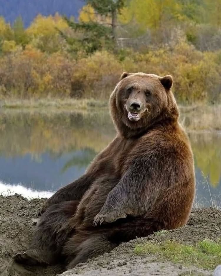 rektvapor tweet media