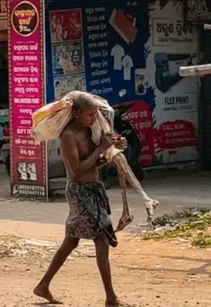 MLouis Vogt tweet media