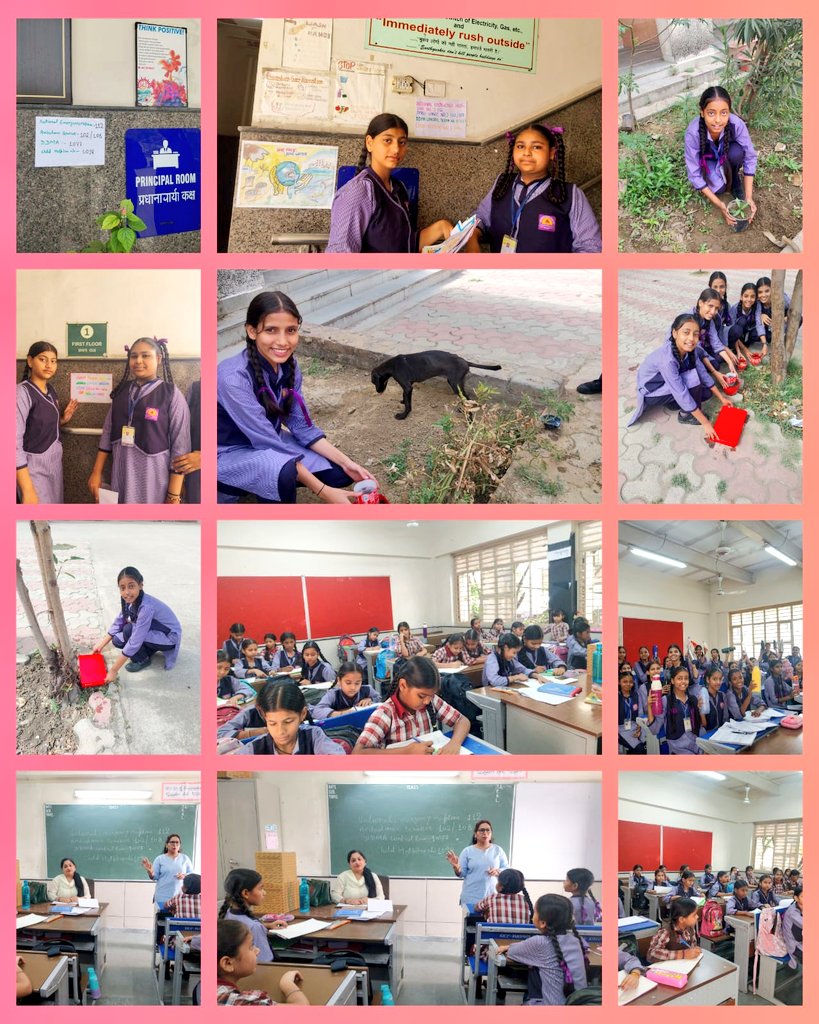 DIRECTORATE OF EDUCATION Delhi tweet media