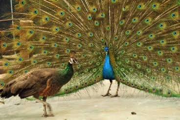 エピちゃん tweet media