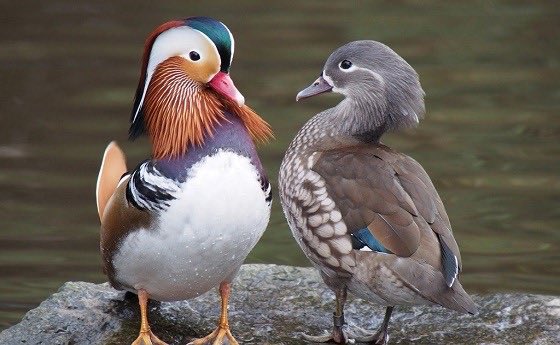 エピちゃん tweet media