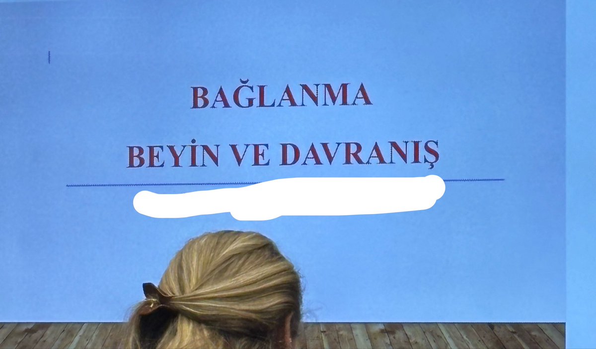 ayse tweet media