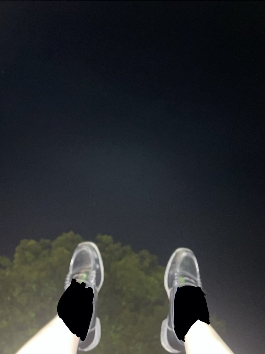 活〆桜鯛 tweet media