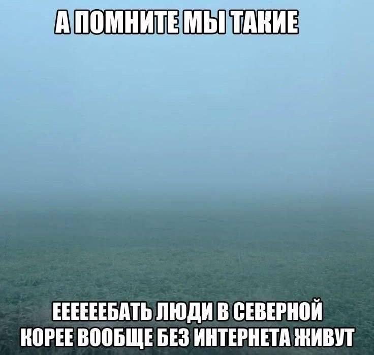 Nikolay Ostrovsky tweet media