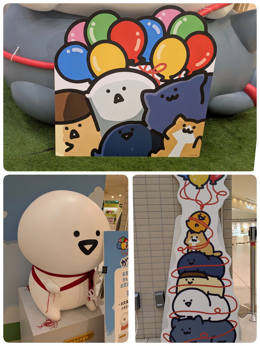 ฅ(๑˙ϖ˙๑ฅ)まなりん🤓♡🧸🍼🫖 tweet media