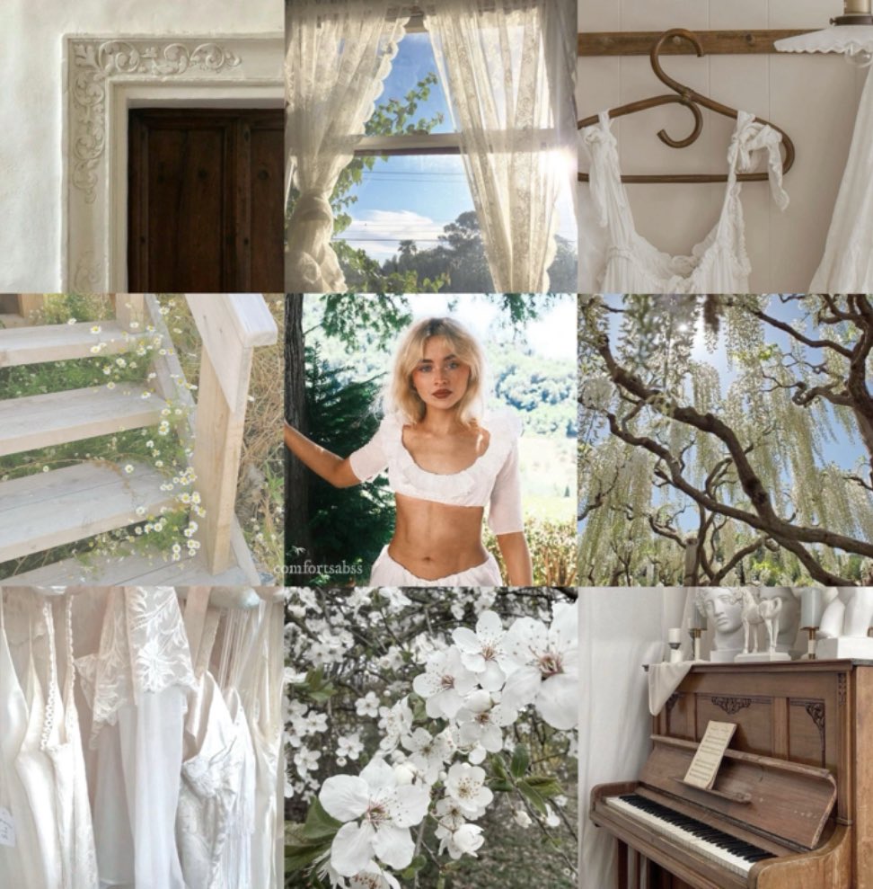 neve 🐾 tweet media