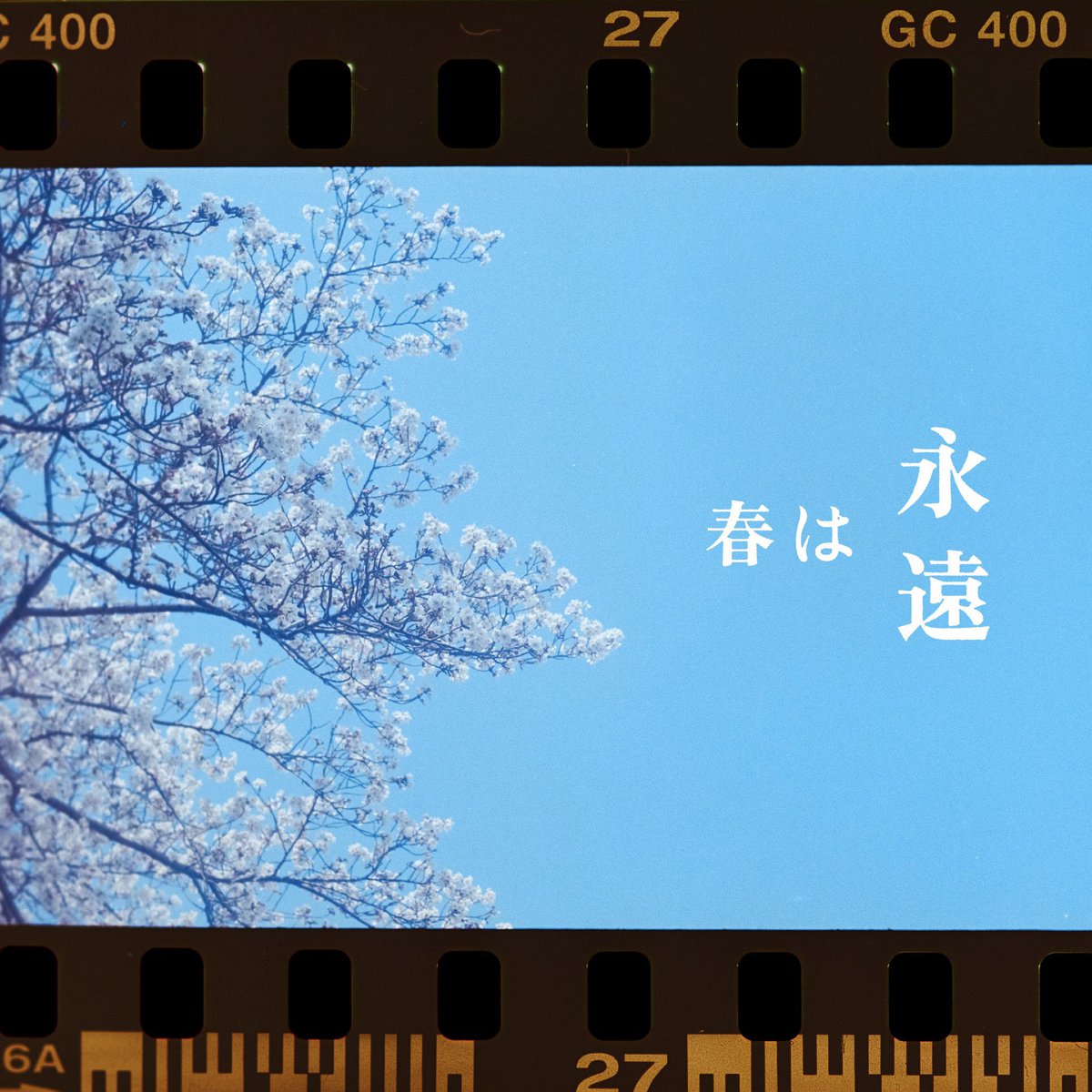 🌸今夜配信開始🌸】 2026/4/29(水)0:00 Digital Single 『春は永遠