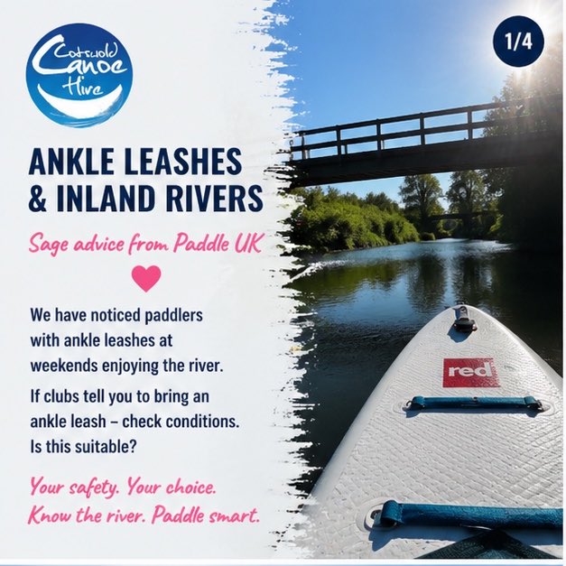 canoethethames tweet media