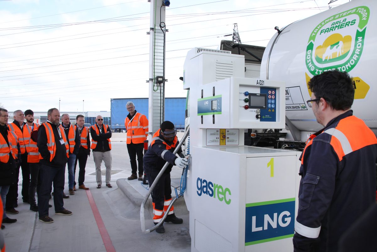 Bulk Distributor tweet media