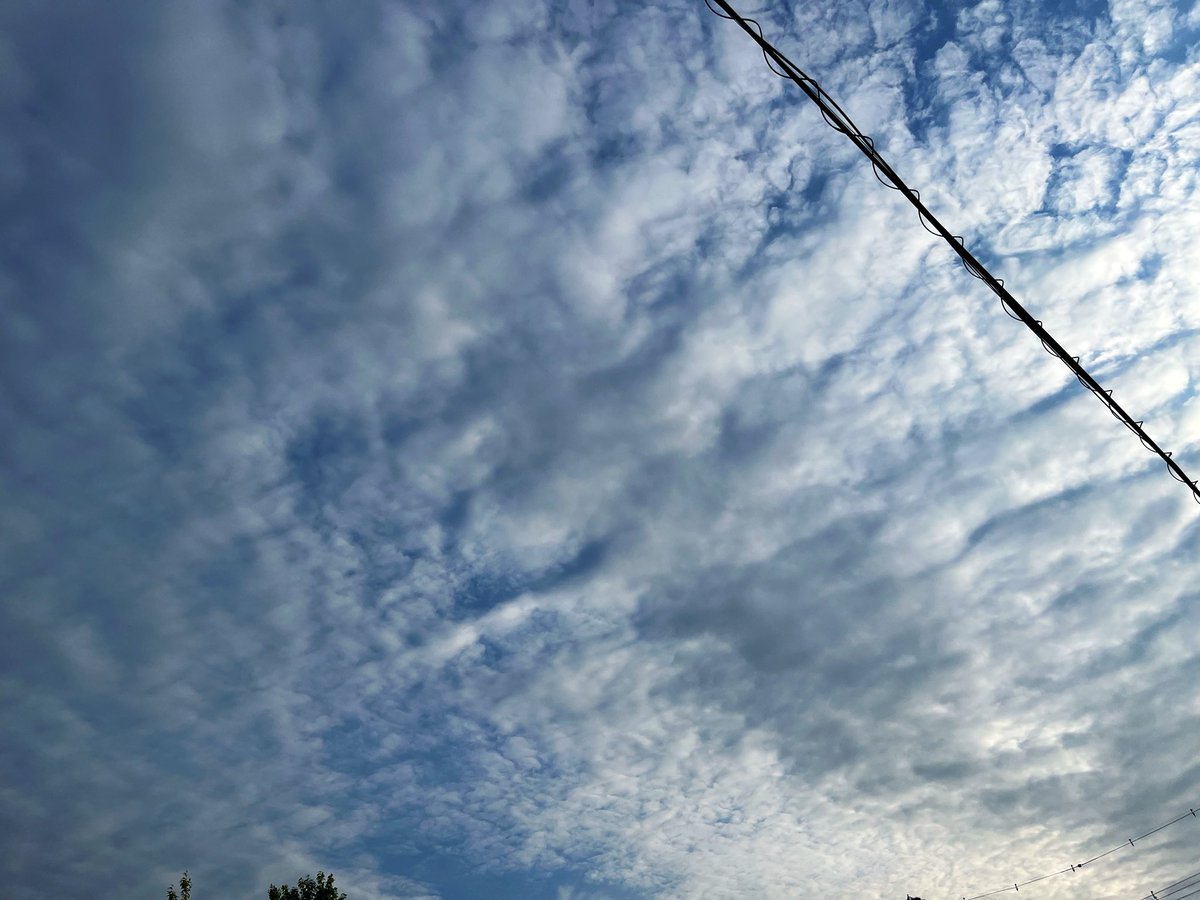 今日はレッスン指導の区切りでした

最後というのは何にでも来るけど、その時「やり切った」と言えることは中々ないと思う

みんな「もう終わってしまって」って気分になりがちだけど、でもそれでいいのよ

それはつまり、まだ進めるってことだから、存分に歩いてって欲しい