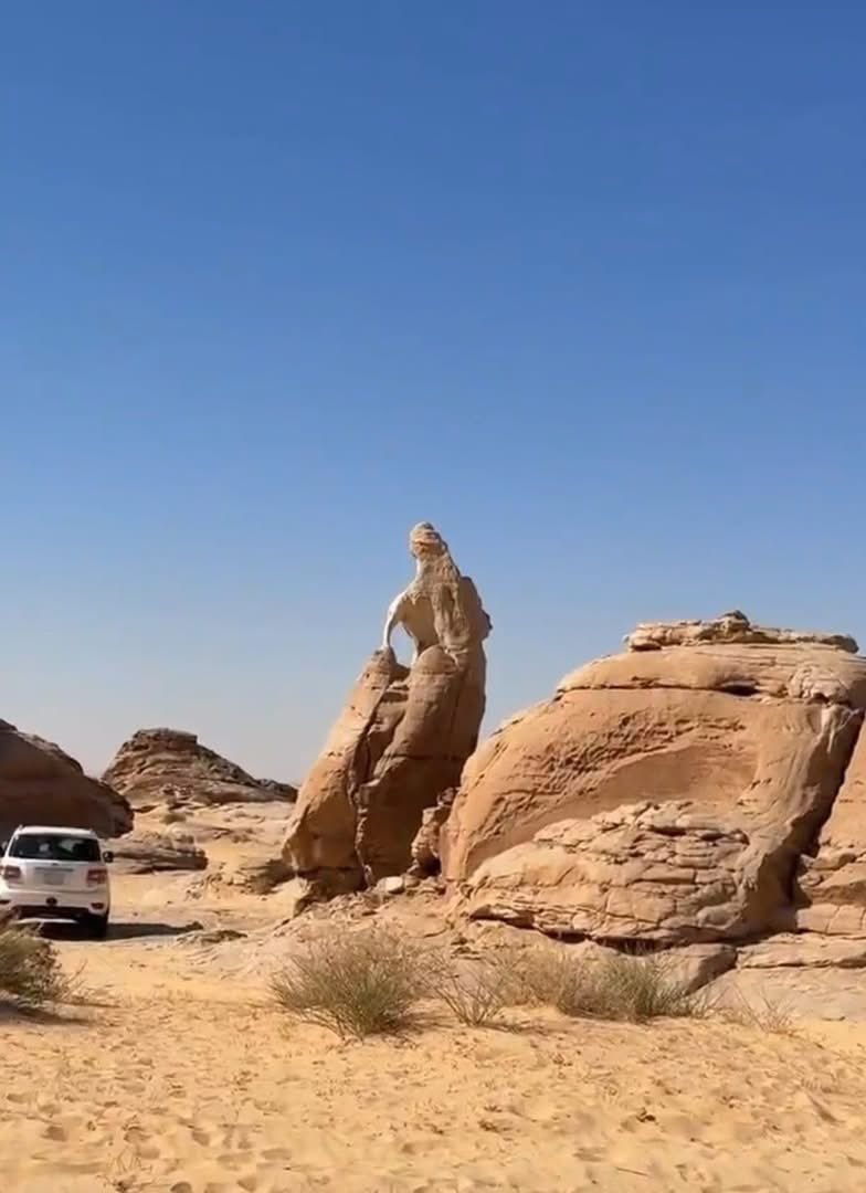 عقيًل بن محمد العقيًل( أبو أنس) tweet media