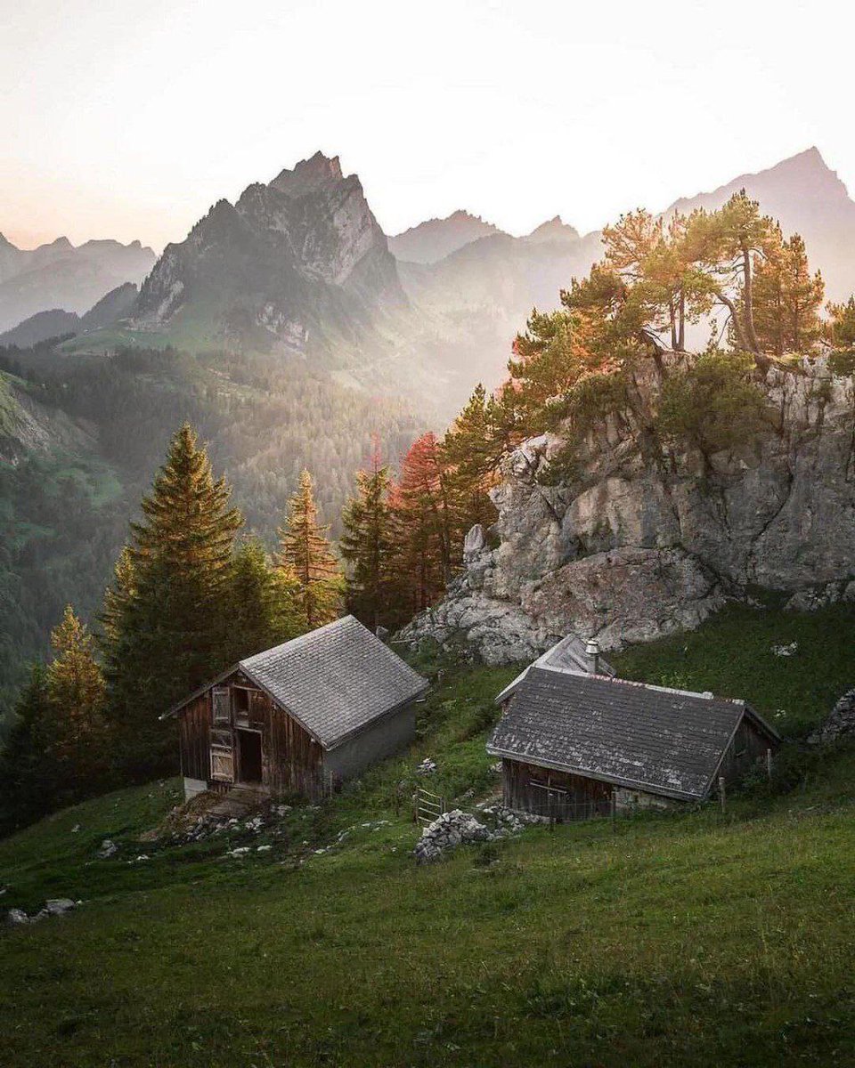 Outdoor__Nature's tweet photo. Gm ❤️ https://t.co/JIDjiKx86j