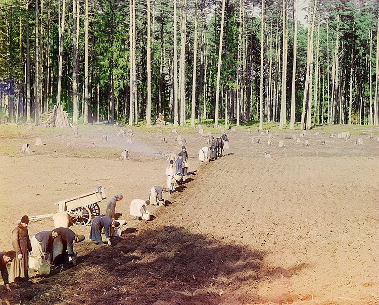 Sergej Mihajlovič Prokudin-Gorski bio je poznati ruski fotograf, hemiča i pronalazač 
1902. Prokudin je objavio tehniku pravljenja slajdova u boji metodom trobojne fotografije, a 1905. je patentirao svoj senzibilizator koji je bio daleko superiorniji od sličnih strane proizvodnje