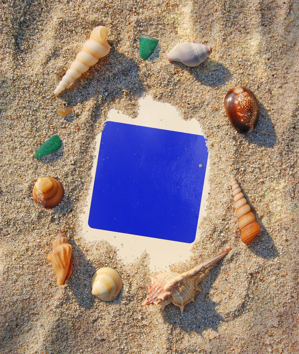 delf_row's tweet photo. Does @base and beach go good together? $BASE https://t.co/2ZRdCYLl79