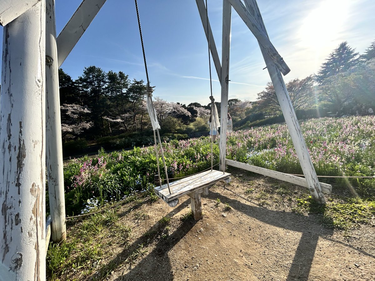 tomatomato1999's tweet photo. 昭和記念公園、春の風景…
4月が終わる前に🌷🌸

#写真好きな人と繋がりたい
#昭和記念公園 #花筏 #ふぉと https://t.co/vMhnsZGEZW