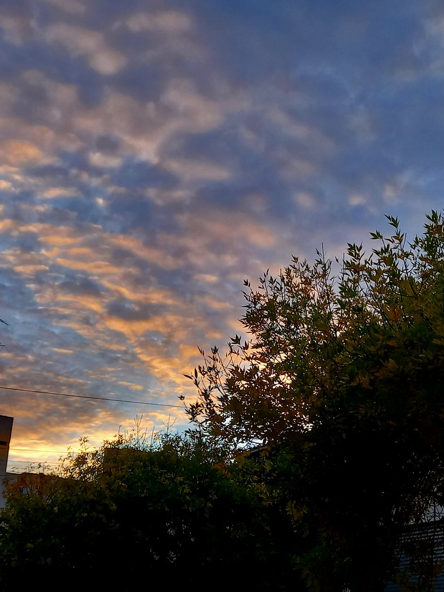 Efebe77's tweet image. Otoño.
Siempre otoño🍂🍂🤩
#martes 
#BuenosAires