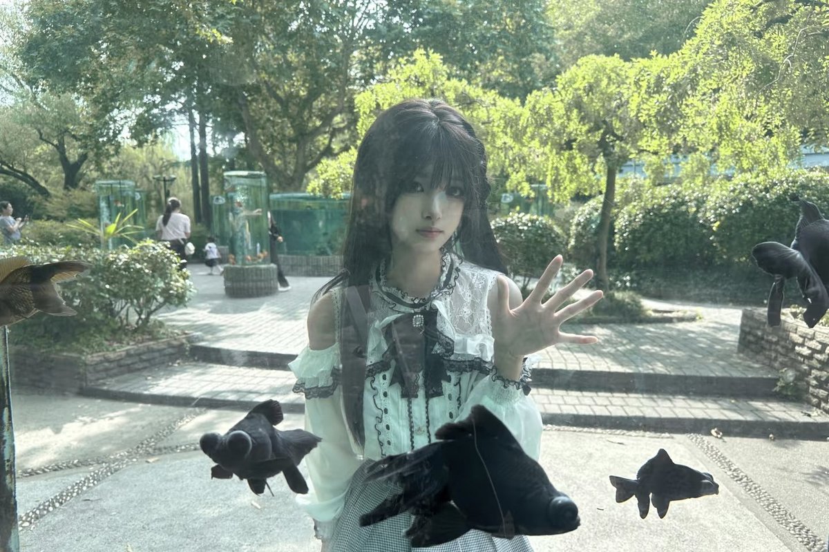 jingyi tweet media