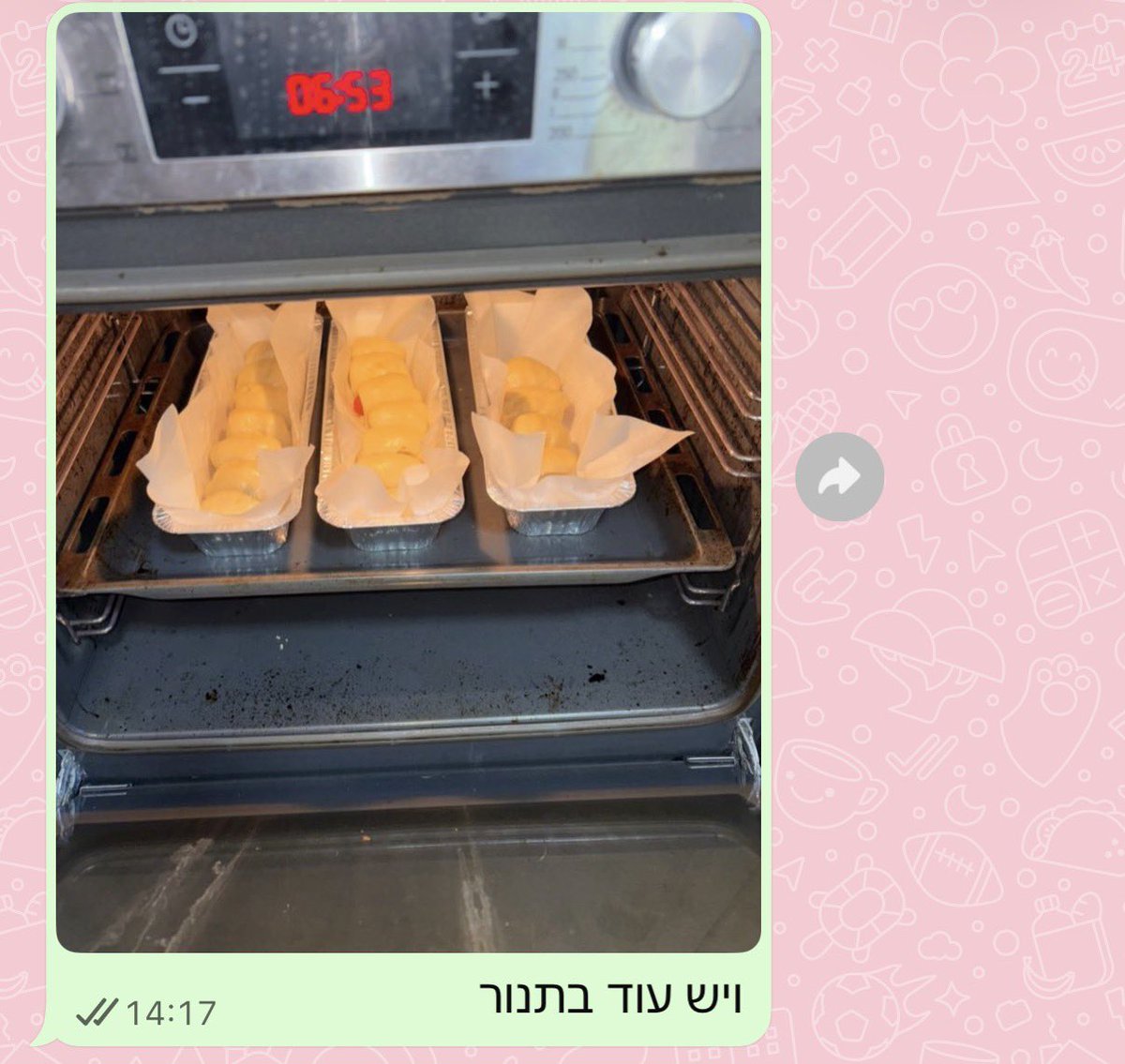 tammar zohar tweet media