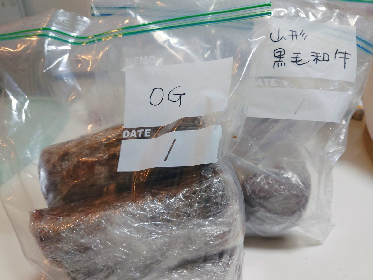 藤井 すみれ tweet media