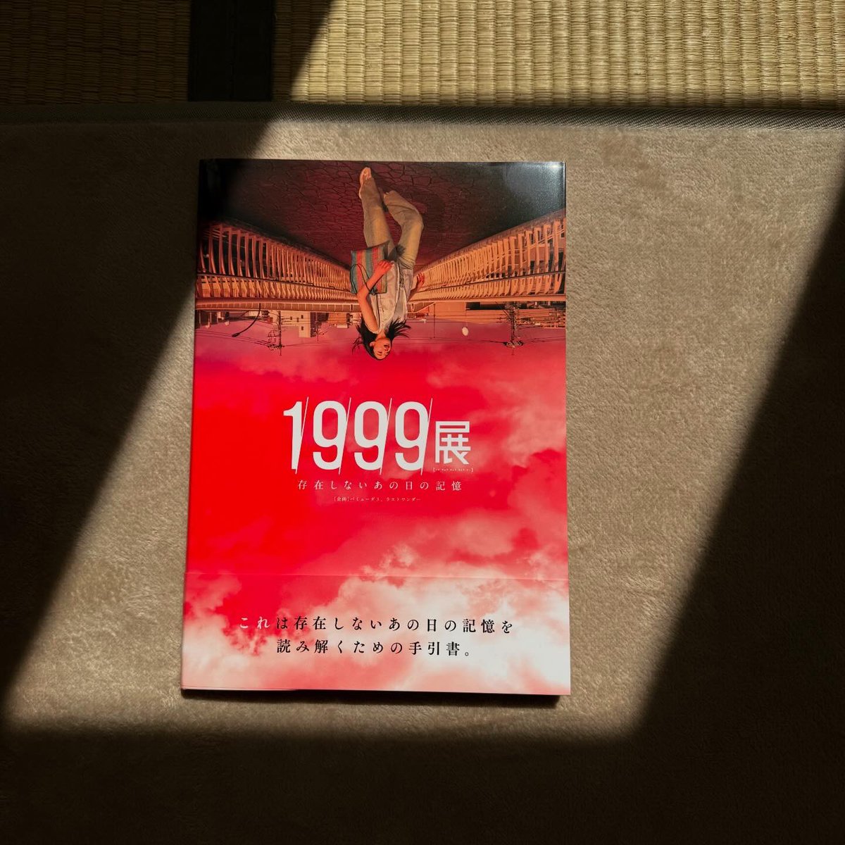 秦麻美子 Mamiko Hata tweet media