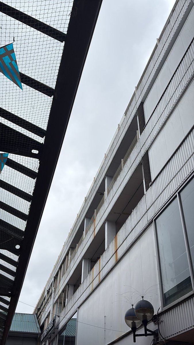 Milo 🇬🇧 tweet media