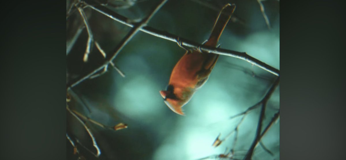 HellArtic's tweet image. “It’s a #SUICIDE #GAME.” 

youtu.be/dgKjUrX5YKs?is…

____________________