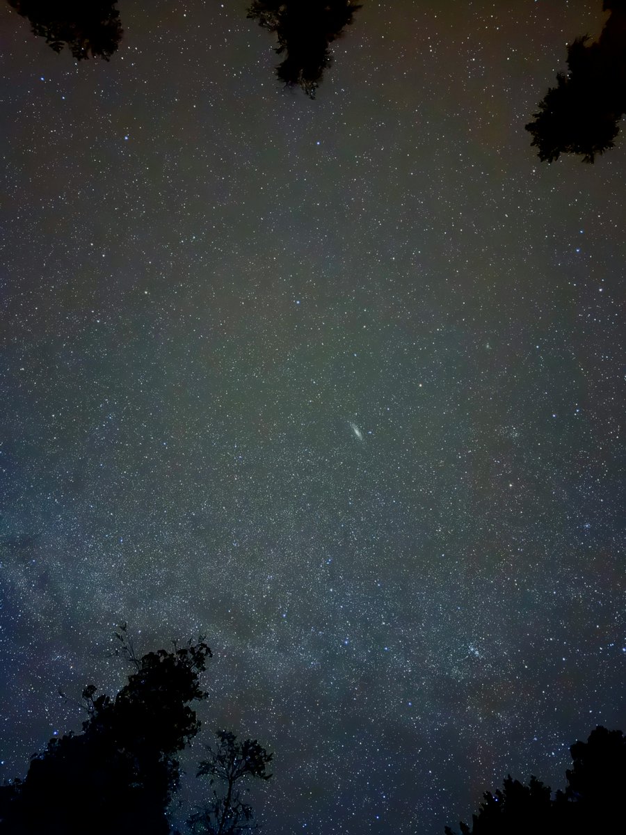 KoyoiOyasumi's tweet image. おやすみ前の豆知識

いま見えている星の光は、
何百年も前にその星を出発した光です。
つまり夜空を見上げるとき、
わたしたちは「過去」を見ています。
きれいな過去ですよね。

おやすみなさい。
#こよいのおやすみ科学 #宇宙 #夜空